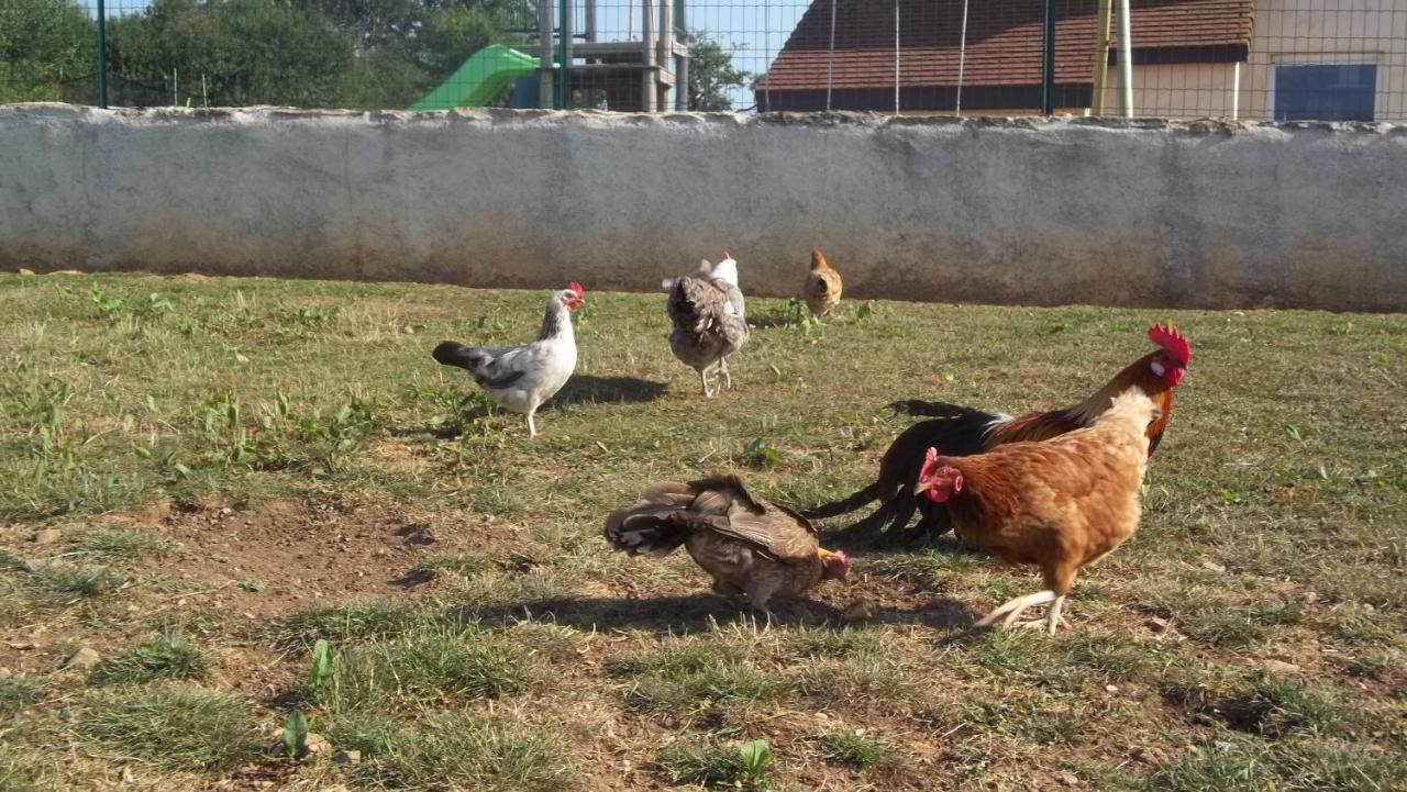 La Maison Du Colombier Le Fied Εξωτερικό φωτογραφία